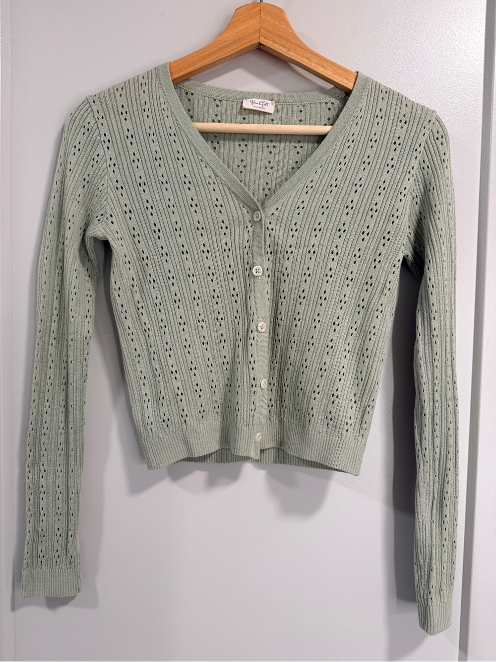 Light Green Eyelet Knit V-Neck Cardigan